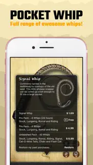 pocket whip: original whip app iphone screenshot 4