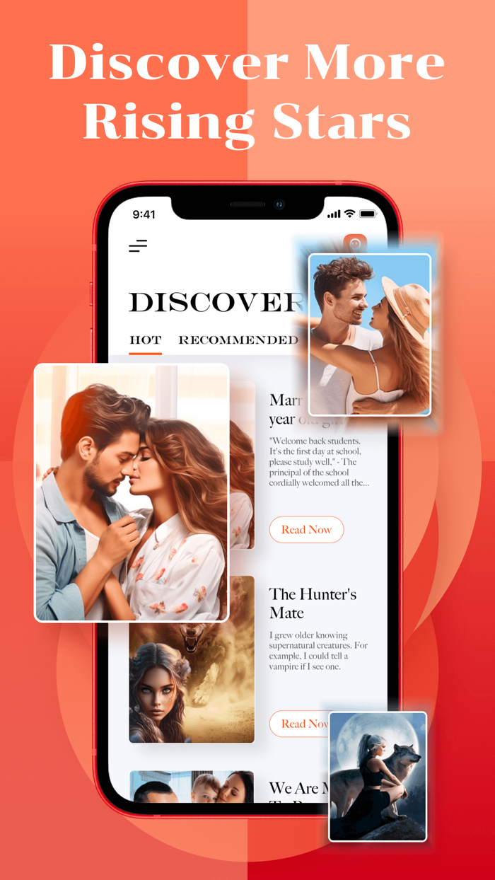 Koala Novel-Daily Web Stories