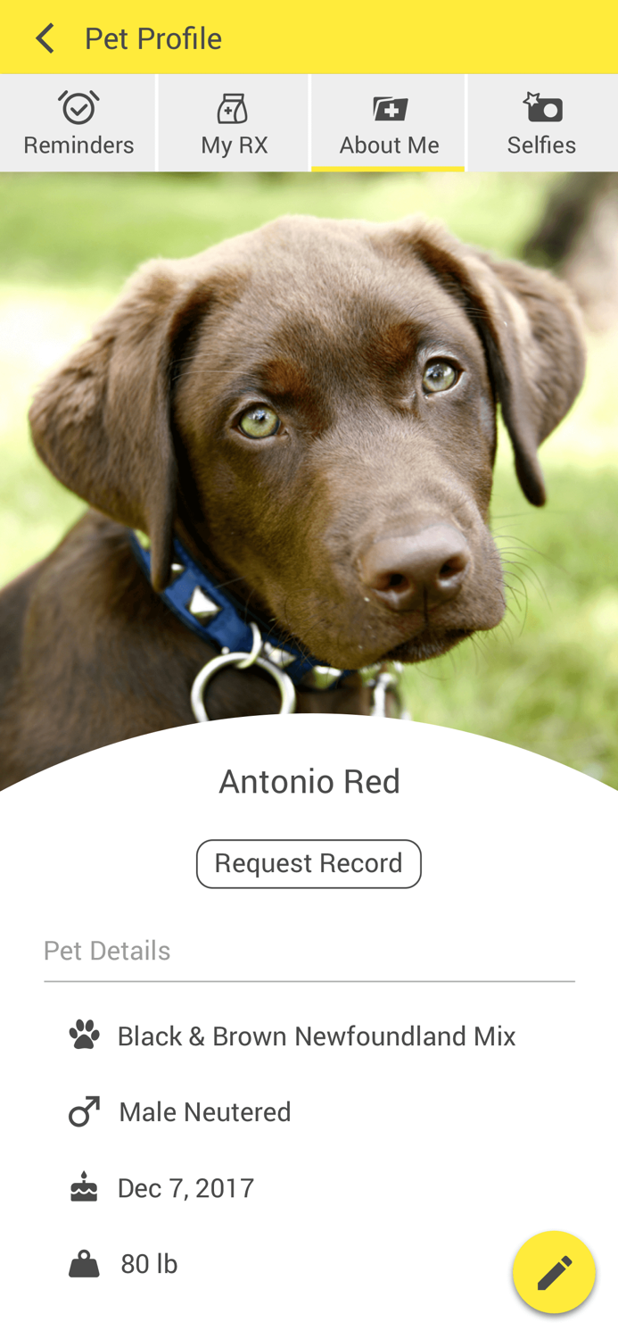 Winnetka Animal Clinic