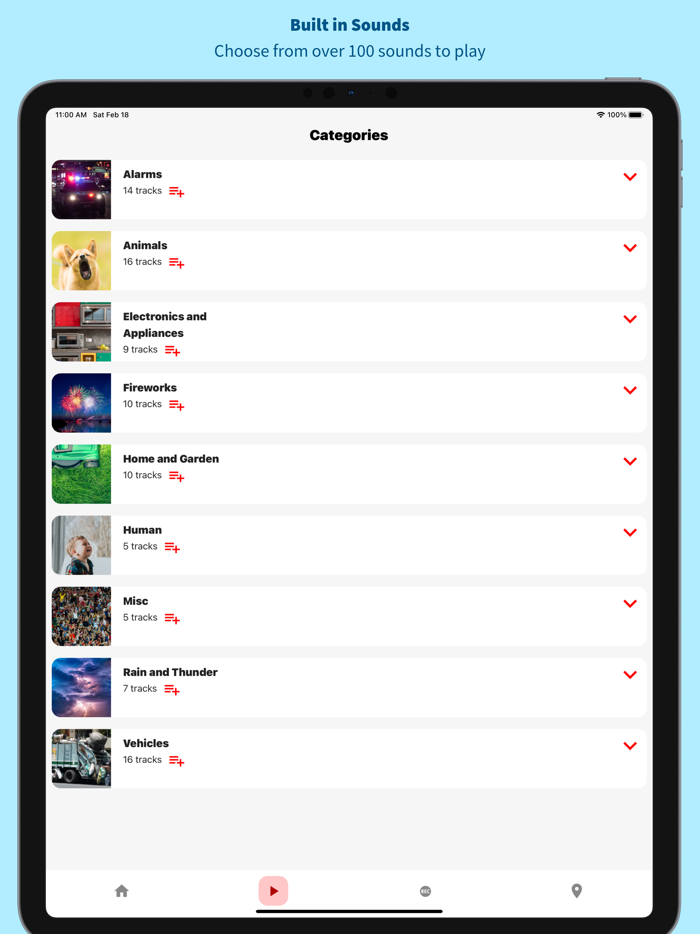 Sound School For Dogs