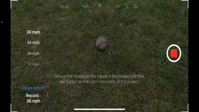 SPEEDUP Softball Screenshot