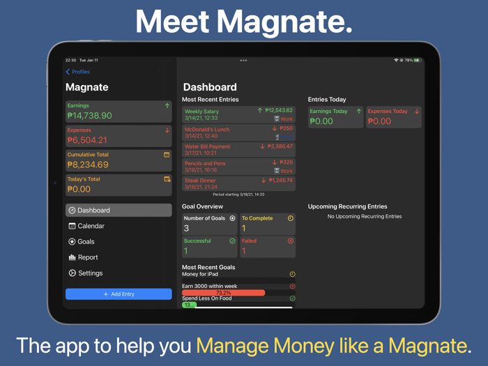 Magnate - Budget Tracker