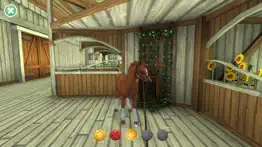 star stable: horses iphone screenshot 4