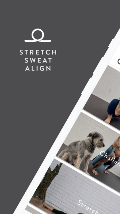 Stretch. Sweat. Align.