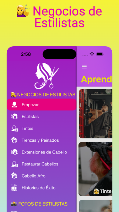 Negocios de Estilistas Screenshot