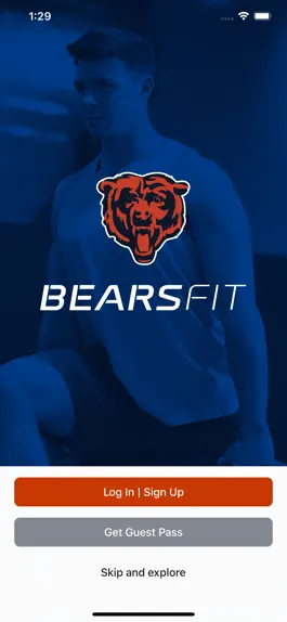Game screenshot Bears Fit. mod apk