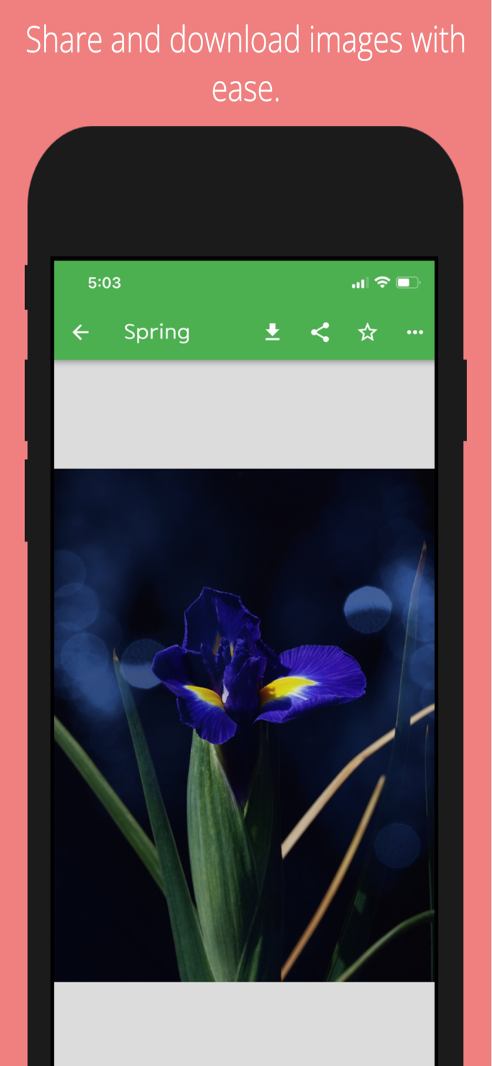 Four Seasons HD Wallpapers