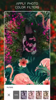 pink flamingo photo frames iphone screenshot 2