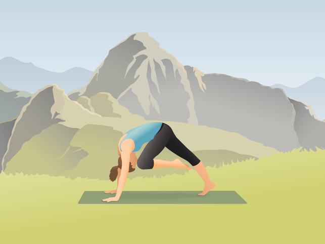 ‎Pocket Yoga Teacher Screenshot