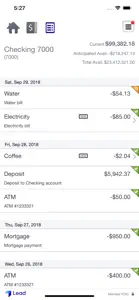 Lead Bank Business Mobile screenshot #5 for iPhone