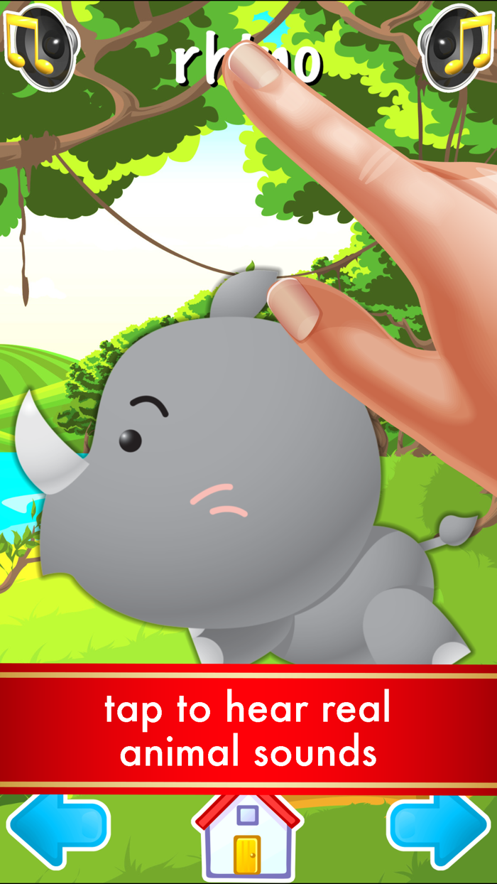 First Words Animals Flashcards