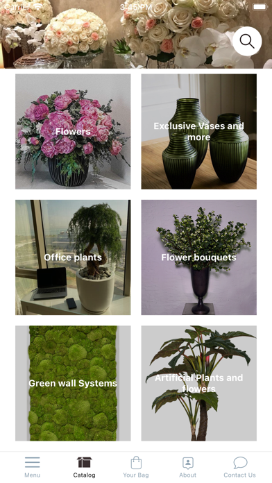 Banflowers and more Screenshot