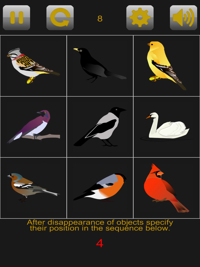 Brain training. Remember seq