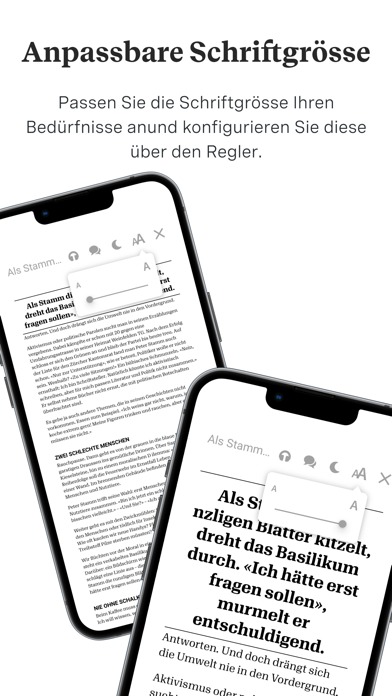 Beobachter E-Paper Screenshot