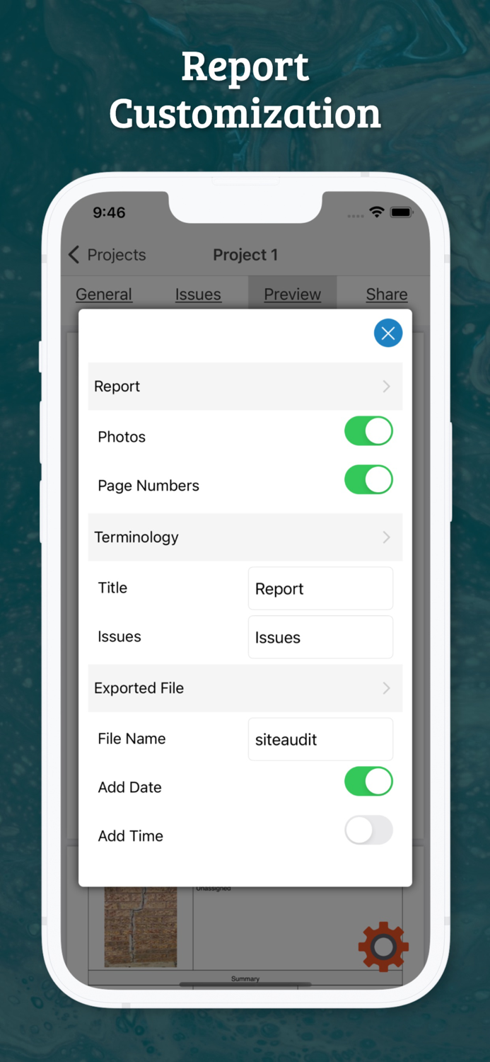Site Audit - Punch Snag Lists