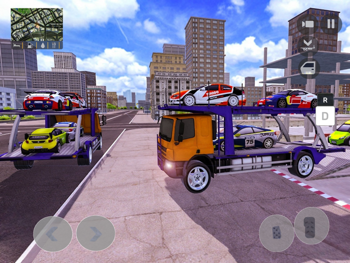 Cargo Transport Truck Driver