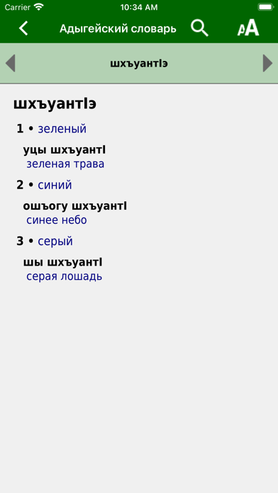 Adyghe Dictionary Screenshot