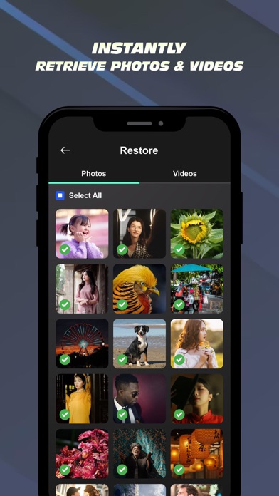 PhotoSpark Screenshot
