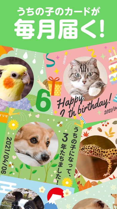 うちっ子ログ:犬や猫のペットお世話日記＆健康管理アプリのおすすめ画像6