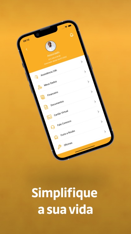 Únnica Proteção Veicular