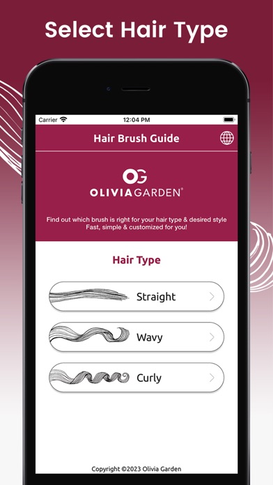 Hair Brush Guide Screenshot