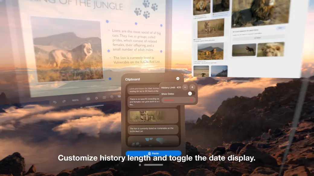 Mrs. Clipboard screenshot 2