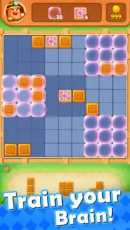 boom story - block puzzle problems & solutions and troubleshooting guide - 2