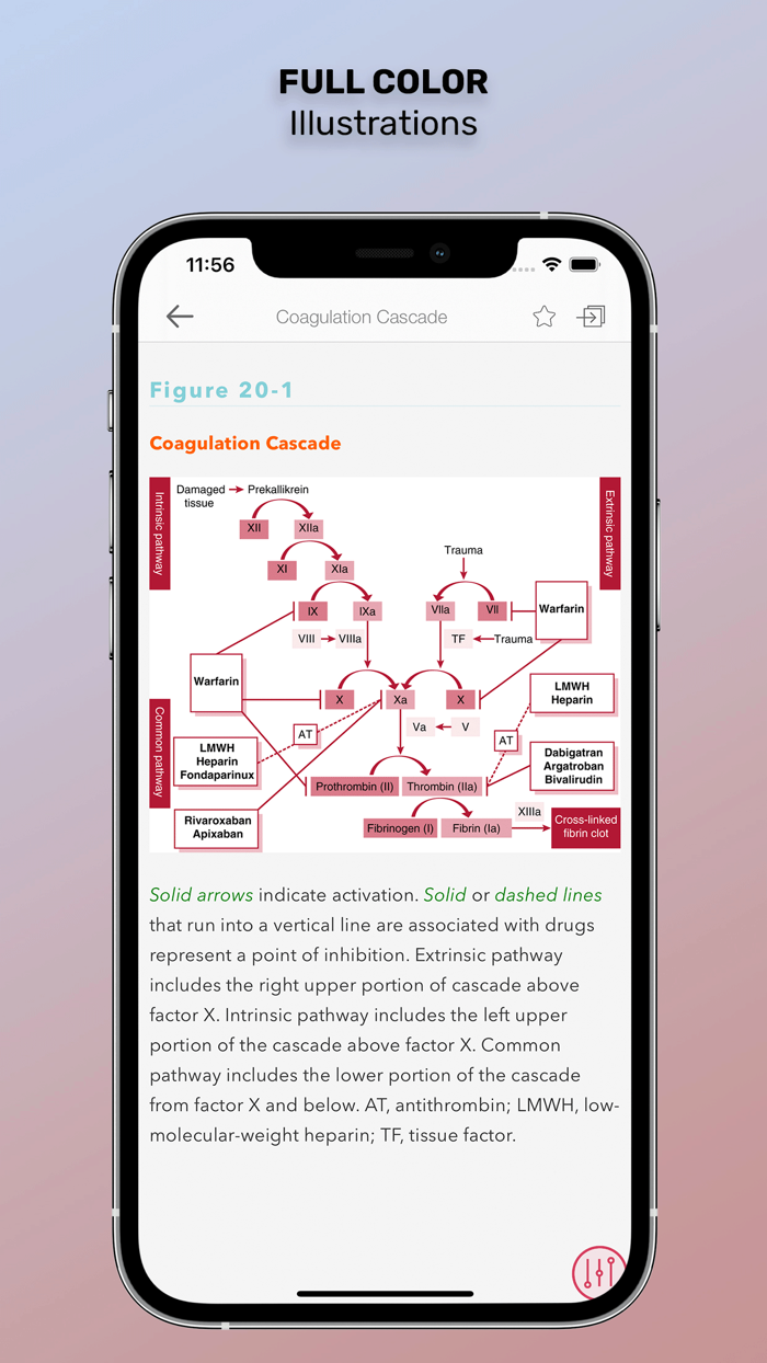 Washington Manual Medical Ther