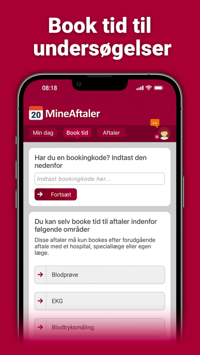 MineAftaler Region Midtjylland Screenshot