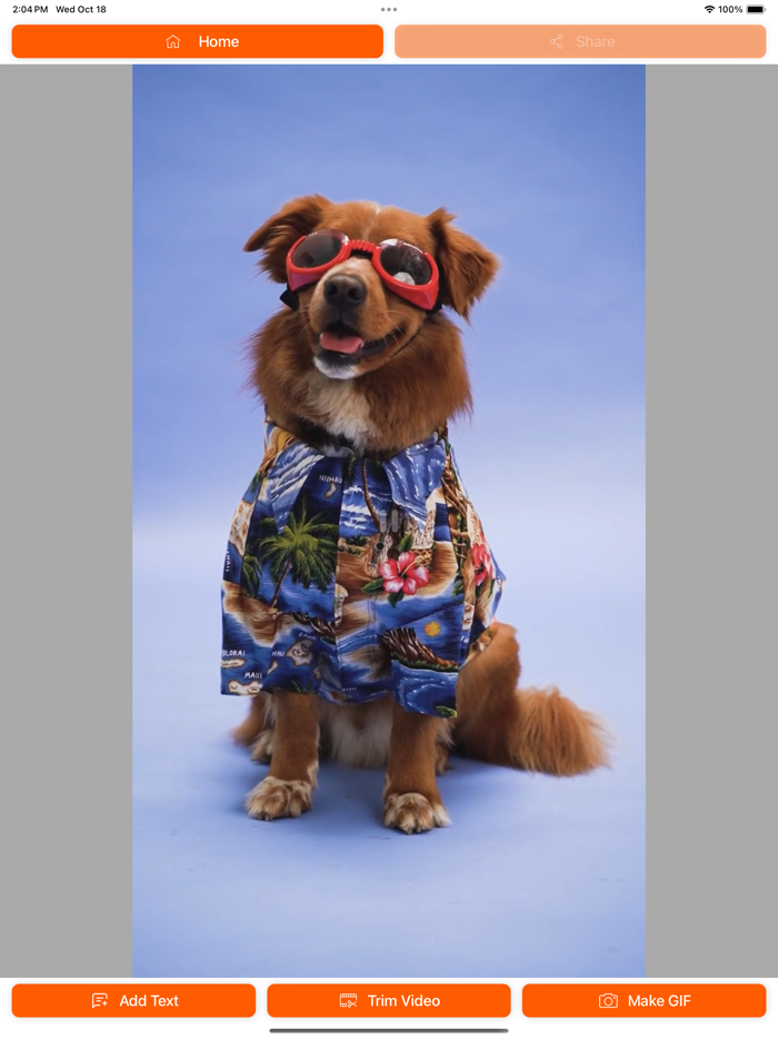 GIF Maker - Animation Photo