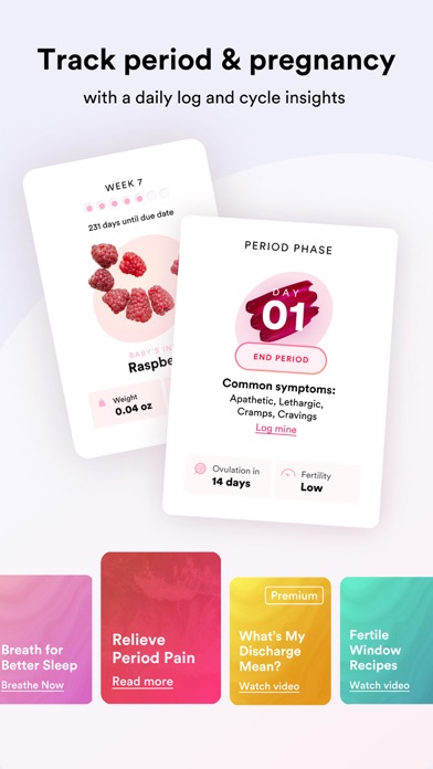 Bellabeat Wellness Coach Screenshot