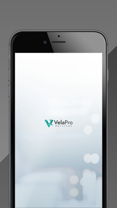 Vela Tax Services Screenshot