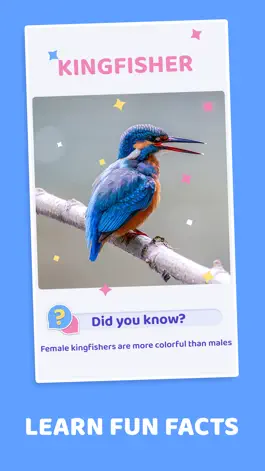 Game screenshot Word Pics - Trivia Puzzles hack