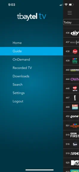 Game screenshot Tbaytel TV hack