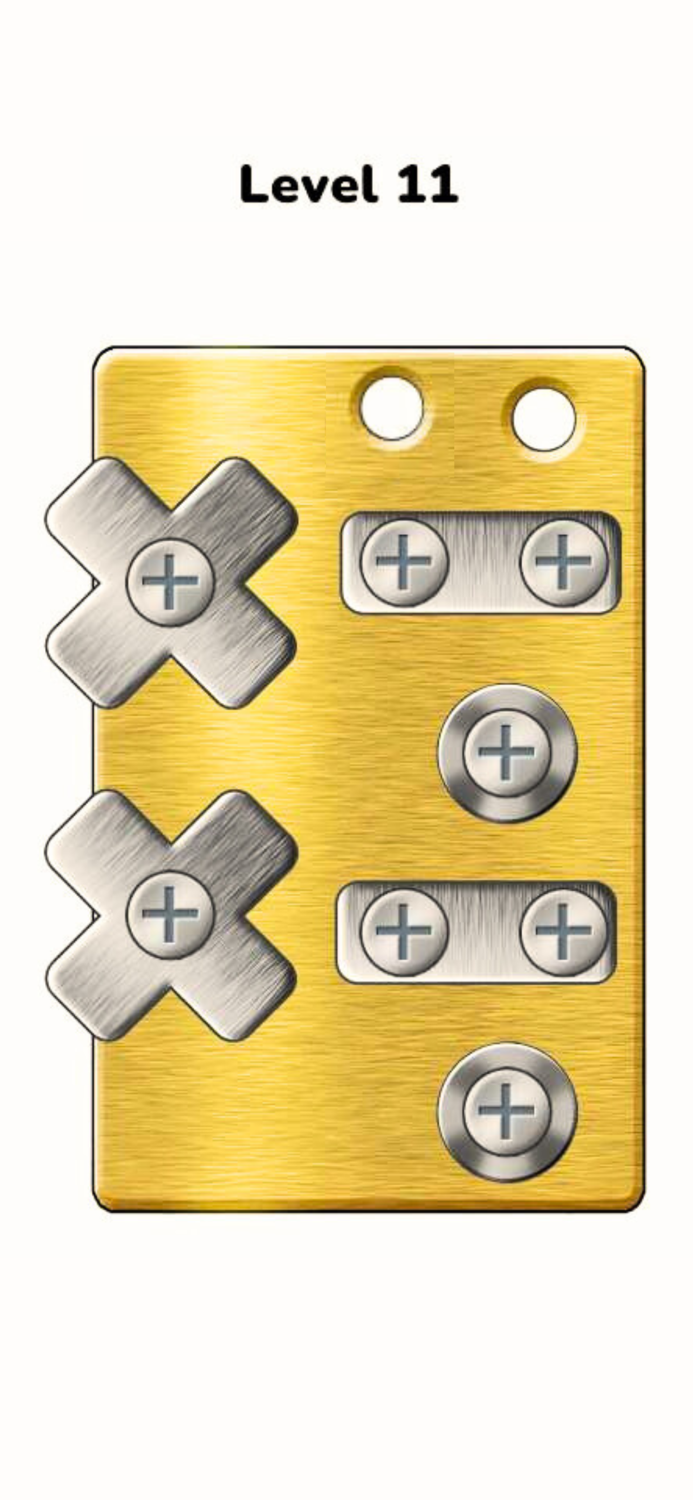 Nuts Screwing Puzzle