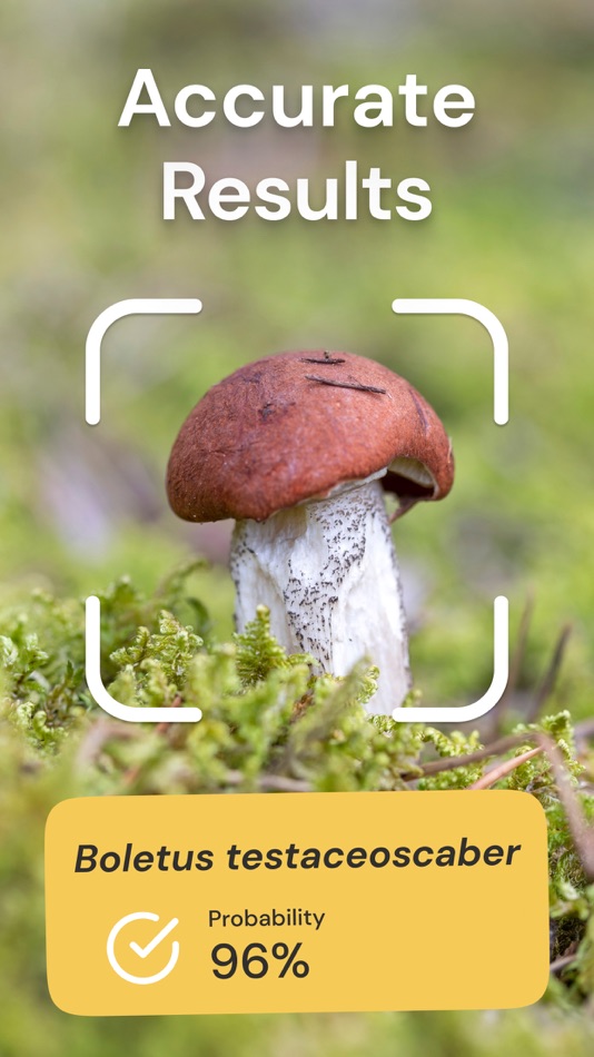 #2. Mushroom Identification ID (iOS) 来自: Appic Stars LLC