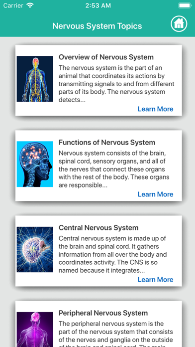 Human Anatomy : Nervous System Screenshot