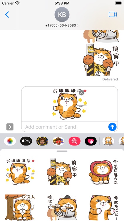 ランラン猫 20 (JPN)