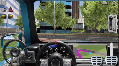 Deluxe Driving Simulator Screenshot