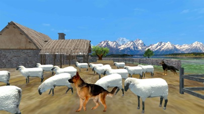 Shepherd Dog:Wild Animal Game Screenshot