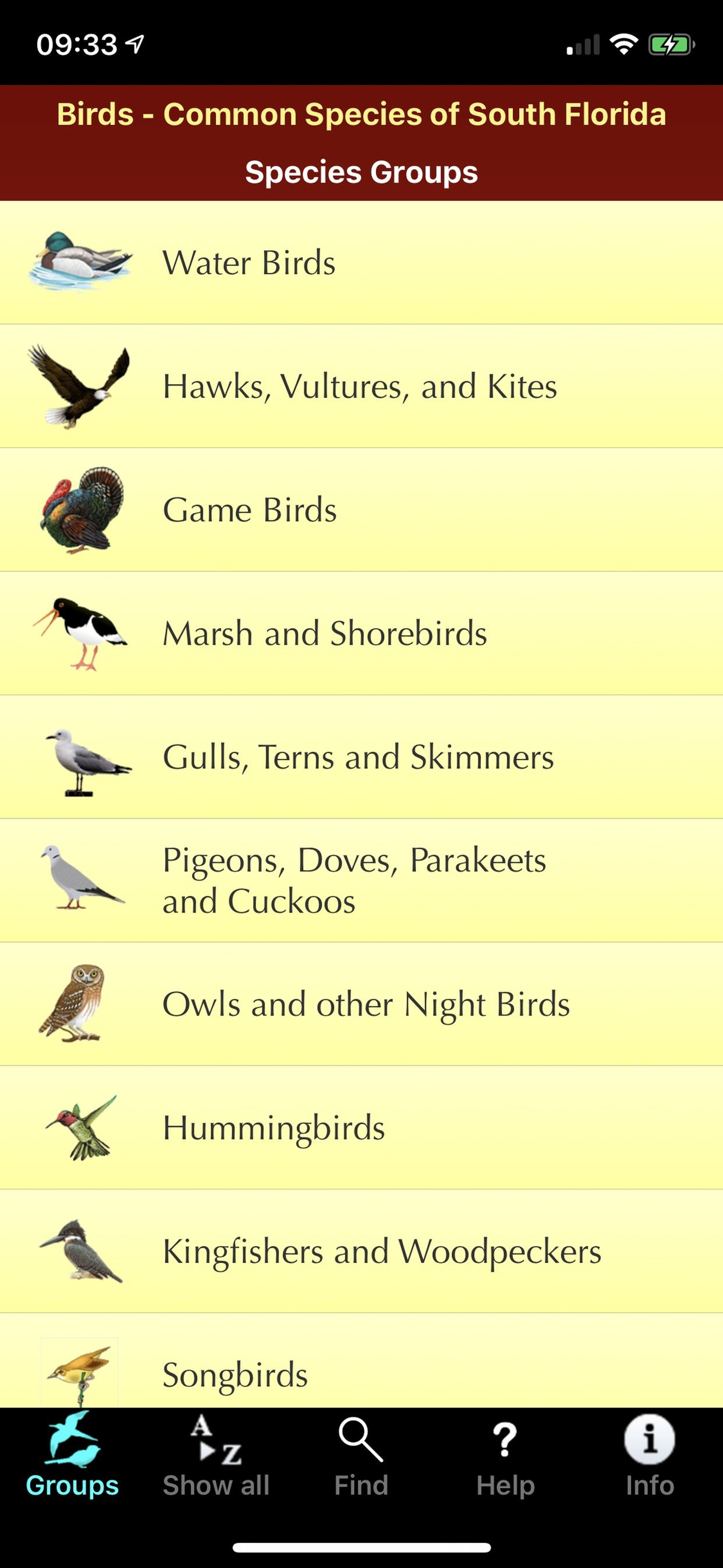 Birds of South Florida