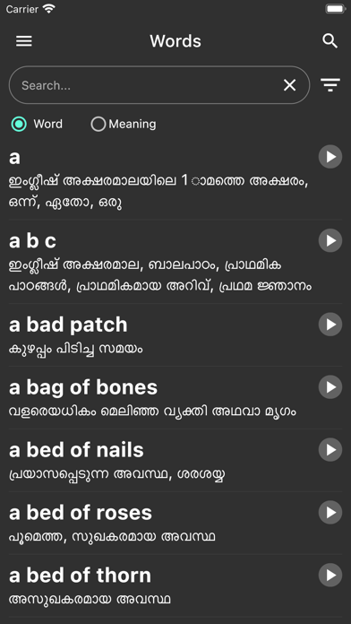 Malayalam Dictionary 2.0 Screenshot