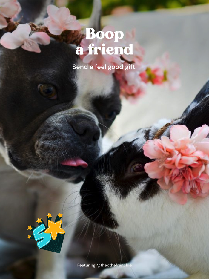 Zoo by Chewy - Pet Community