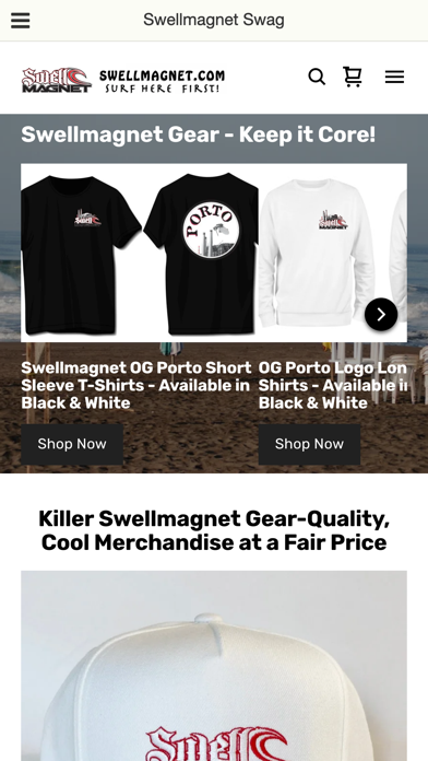 Swellmagnet.com Screenshot