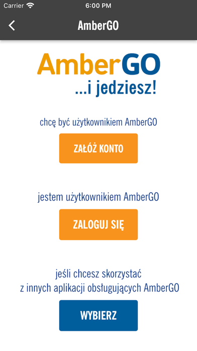 AmberOne Screenshot