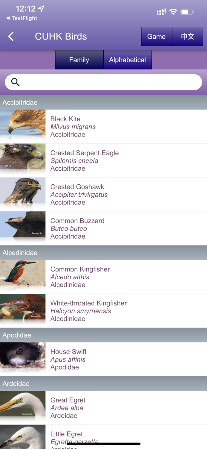 中大鳥  Birds of CUHK