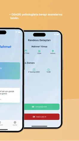 Game screenshot Beraber İyileşeceğiz hack