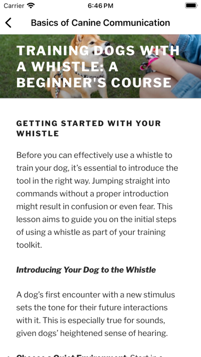 Dog whistle & Training Course Screenshot