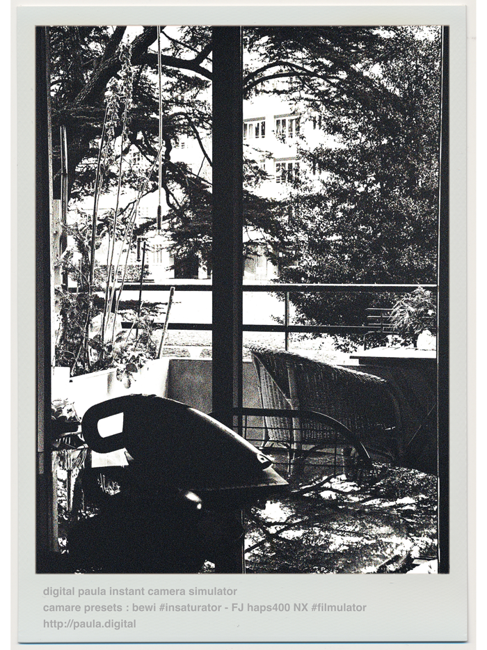 Digital Paula Instant Camera