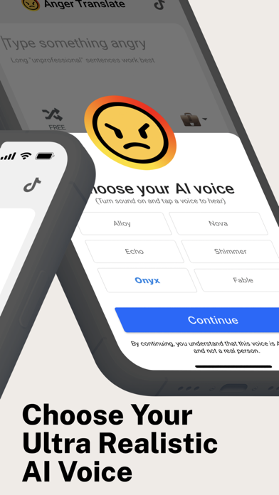 Anger Translate AI Screenshot